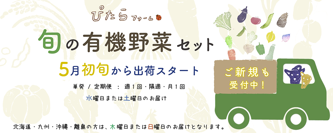 旬の有機野菜セット